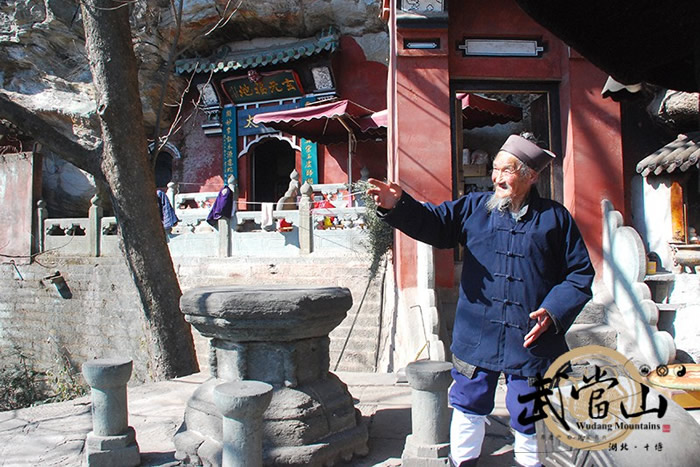 与蜜蜂一起“修行”的武当高道