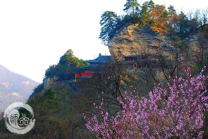 武当山春季展笑颜