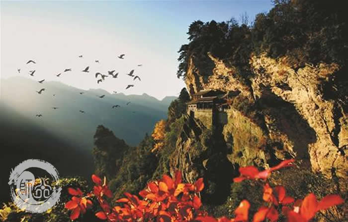 乌鸦为何被武当山尊为神鸟?