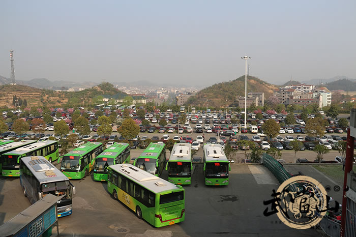 最是一年春好处清明踏青正当时