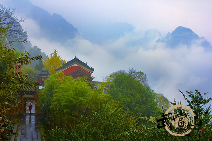 水墨山峦云雾缭绕 草竹树木分外清新