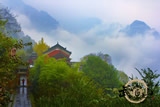 武当山：水墨山峦云雾缭绕 草竹树木分外清新