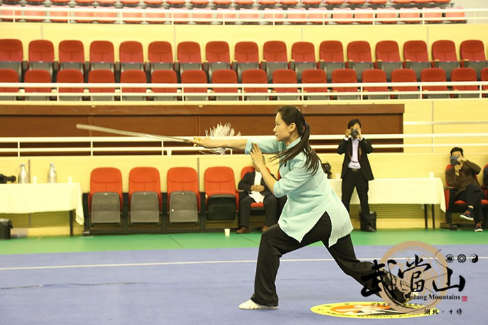 武当武术标准化预审会议在武当山成功举办