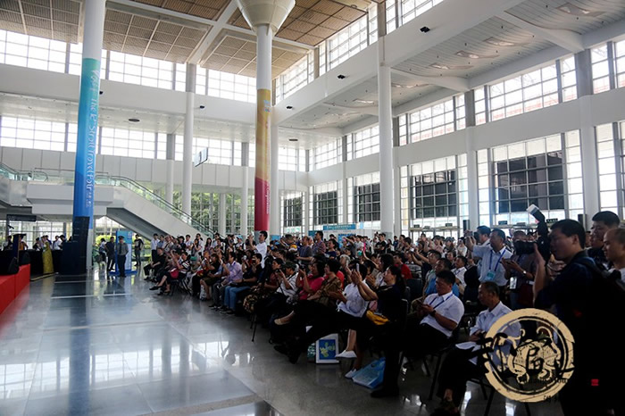 武当功夫点亮海峡旅游博览会