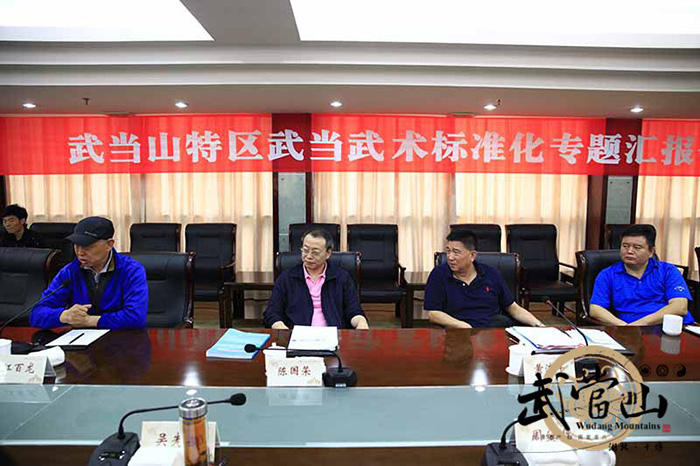 大道行武当，太极和天下 武当武术标准化建设进行时