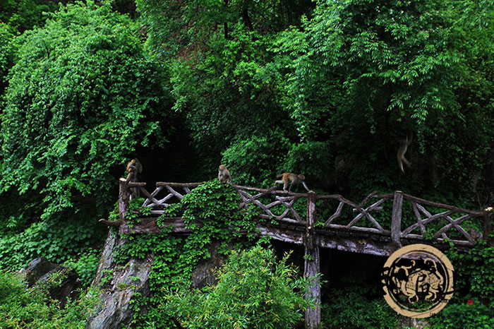 夏季旅游第一站 避暑武当山