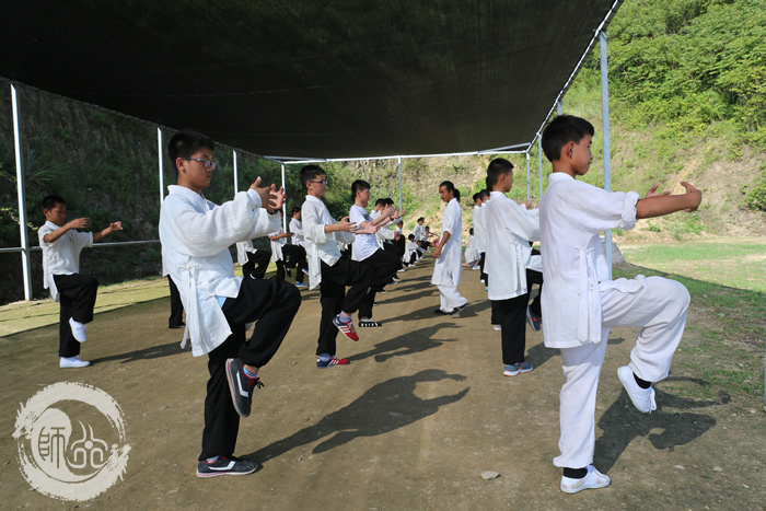 武术进校园：发挥武术的多元功能