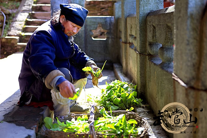 我眼中迷人的武当山风景区
