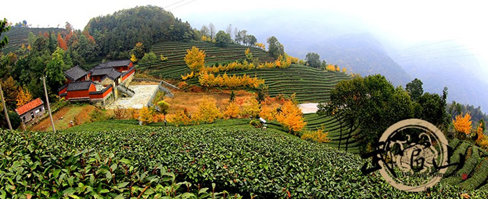 我眼中迷人的武当山风景区