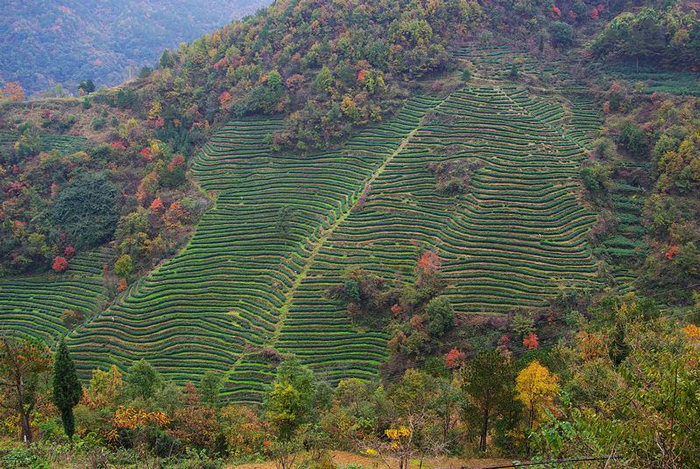 唯美景色!开始期待武当山的秋季
