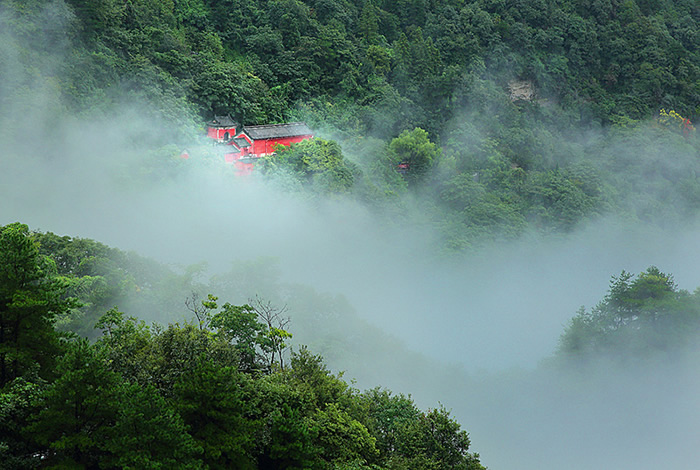 阵阵秋雨 武当山更显俏丽
