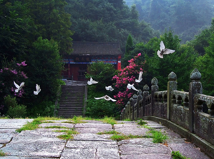 武当山特区获“生态建设综合示范奖”