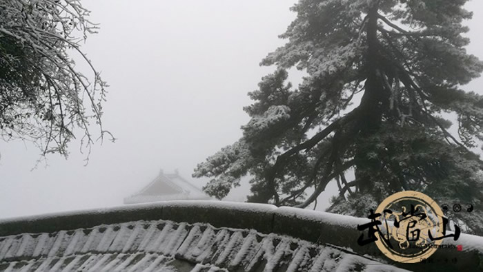 武当山迎今冬首场雪