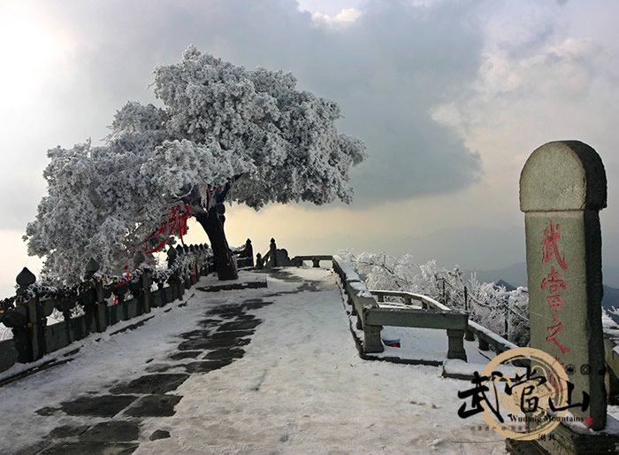 武当山的雪，你知道有多美吗？