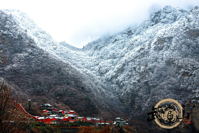 武当山的雪，你知道有多美吗？