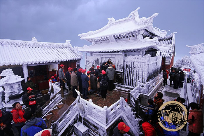 武当山的雪，你知道有多美吗？