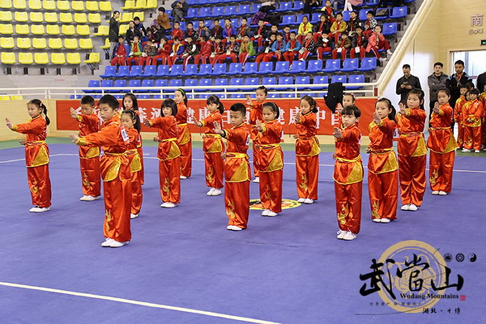 首届武当山特区市民太极拳大赛圆满结束