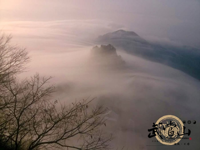 金顶现陆海奔潮奇观 系武当静八景之一