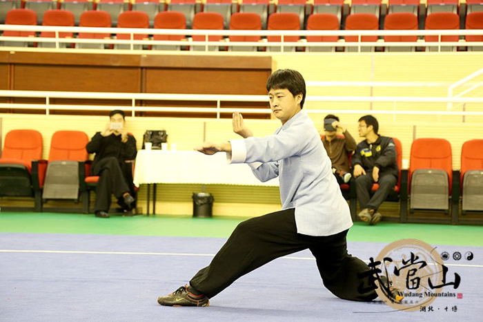 国家评审确定武当武术“两拳一剑”技术标准