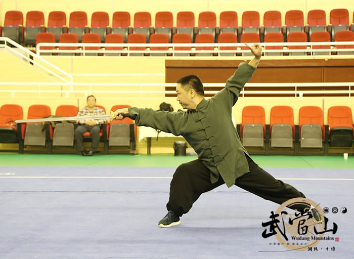 国家评审确定武当武术“两拳一剑”技术标准