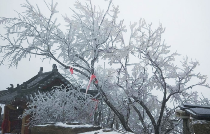 武当雪纷纷 游客观美景