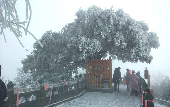 武当雪纷纷 游客观美景