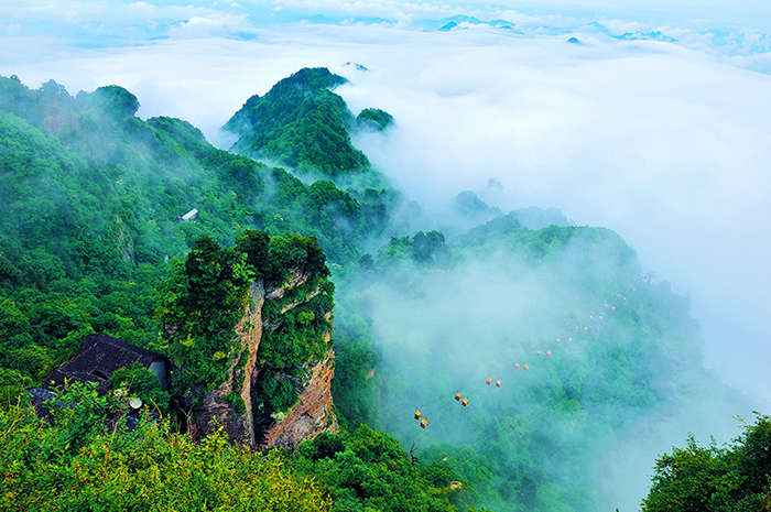 武当山特区开展“魅力十堰 武当有礼”活动
