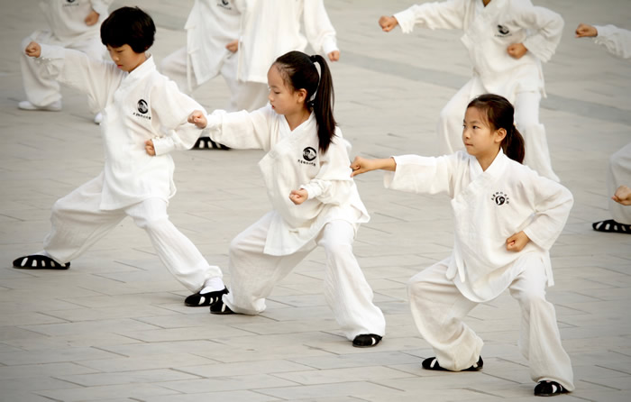 第四届鄂台青少年武当文化夏令营在武当山特区举办