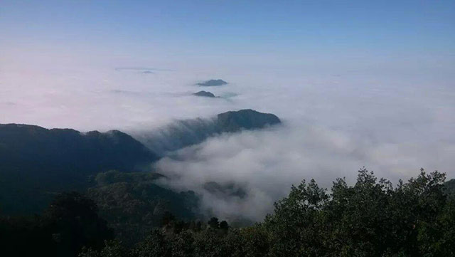 金殿倒影、海马吐雾，十一期间武当山“真武显灵”？