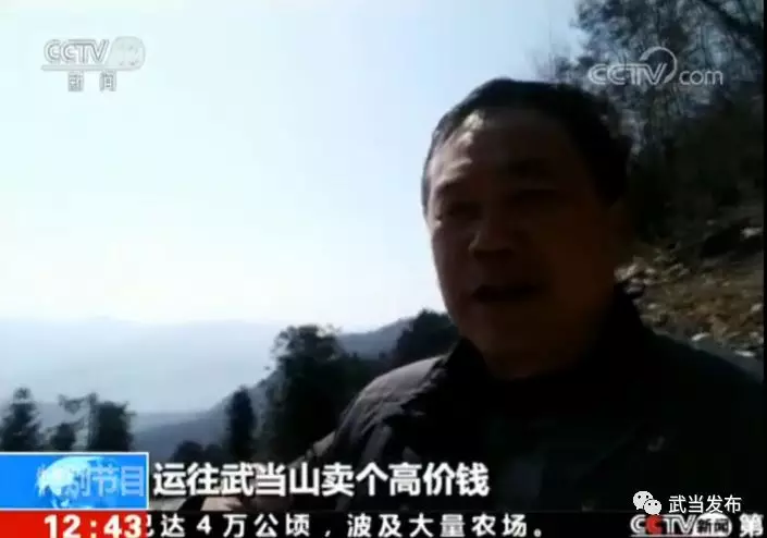 武当山今晚再登央视惊艳全国！一个月内第六次，太牛！