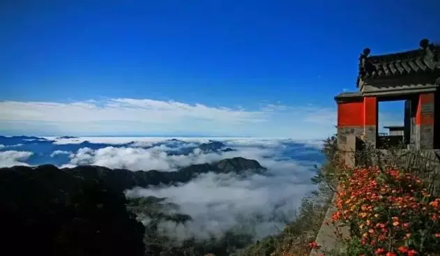 武当山今晚再登央视惊艳全国！一个月内第六次，太牛！