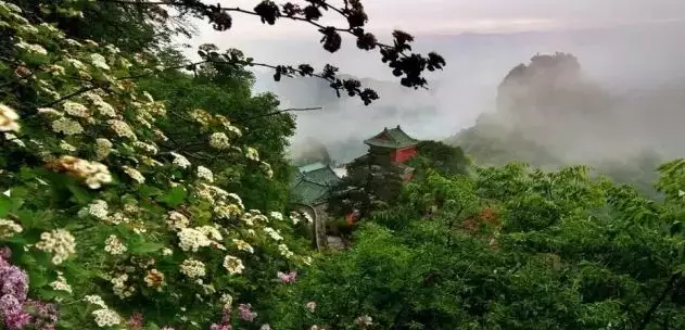 武当山今晚再登央视惊艳全国！一个月内第六次，太牛！