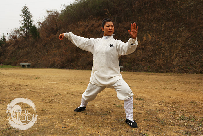 宁静的召唤-宋艳华