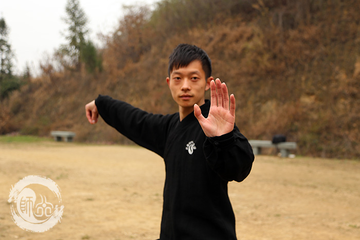 武当太极十三势师行亲授班感悟