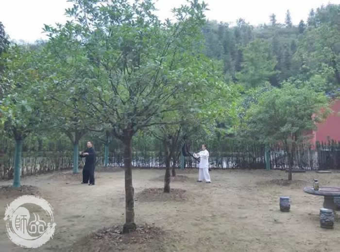 心心相随，共融自然