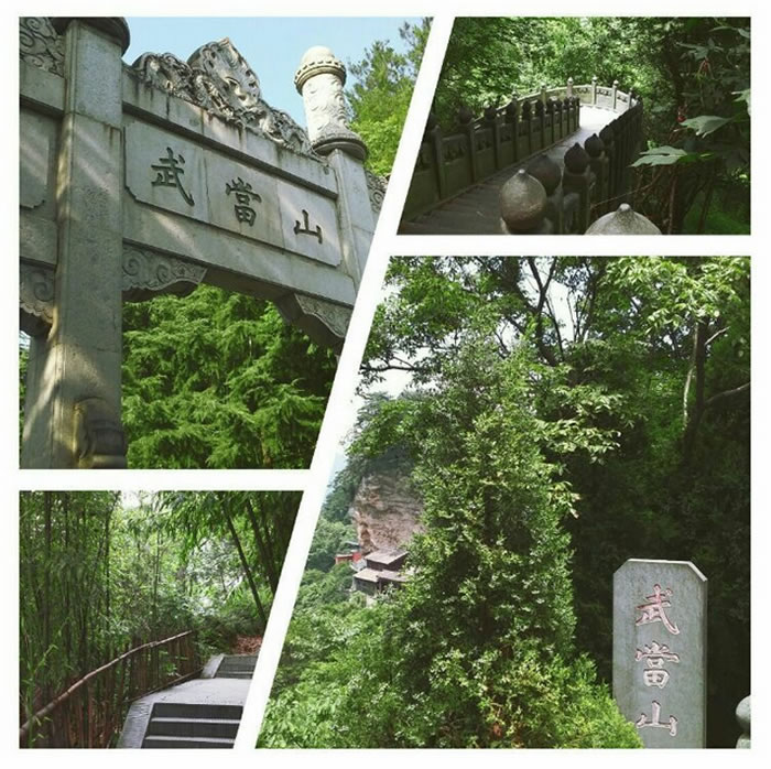 一个梦，30年前缘起，20年后再续，10年后再圆，你可愿意等？