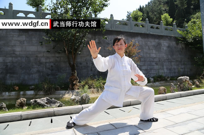 武当太极拳