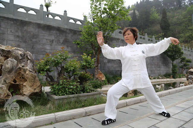 武当太极十三式