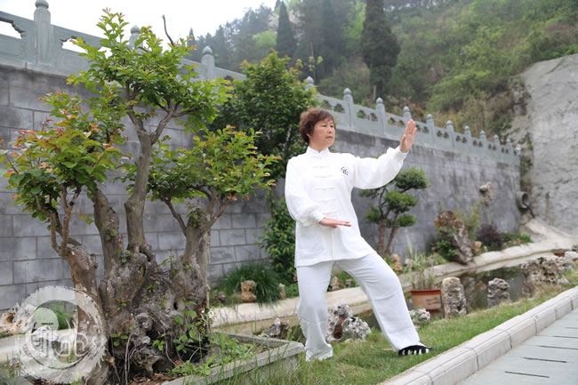 武当太极十三式