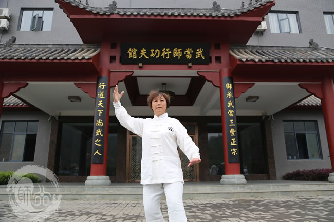 武当太极十三式