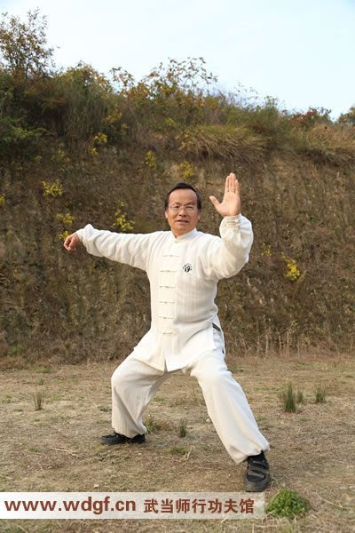 武当太极拳