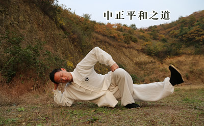 武当习太极拳心得--中正平和之道-曾诚