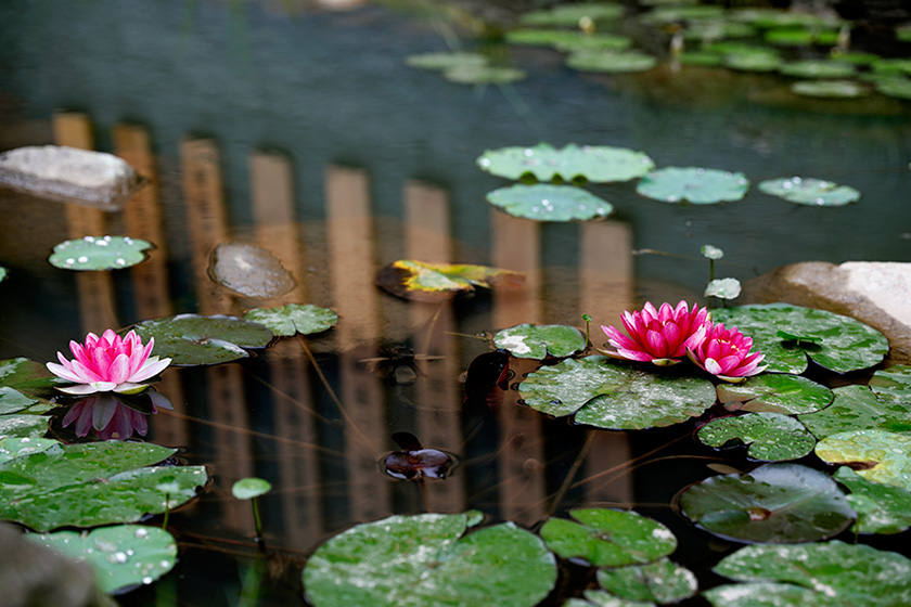 世界人在师行，师行人走世界
