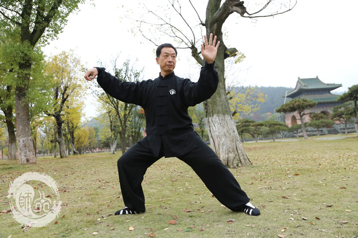 太极拳的境界:拳由心画