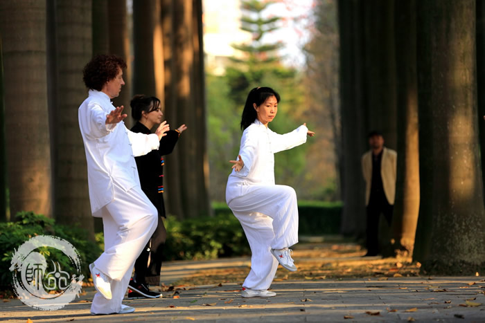 太极心得 四肢百骸