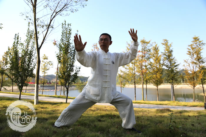 太极拳,理解动静之本