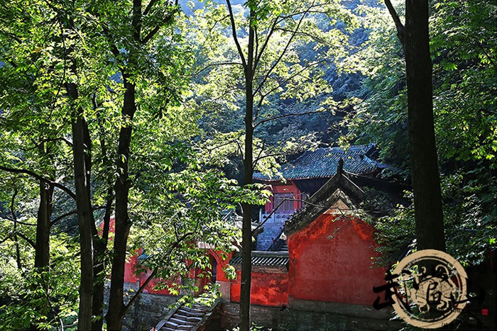 灵山秀水已见 宜居武当尽显