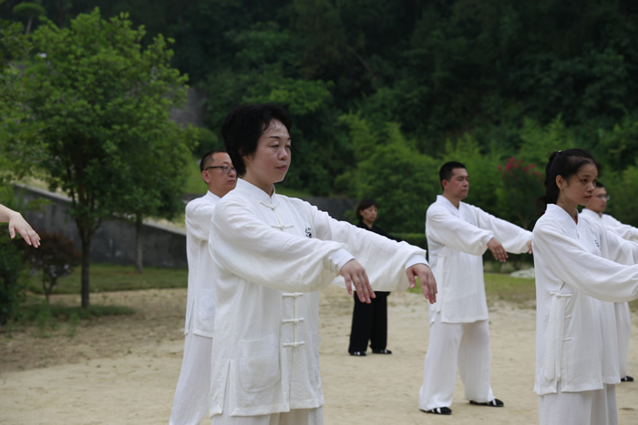 太极拳运动与太极运动同道