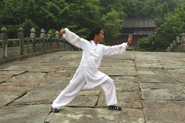 太极拳在金庸先生眼里是这样的！