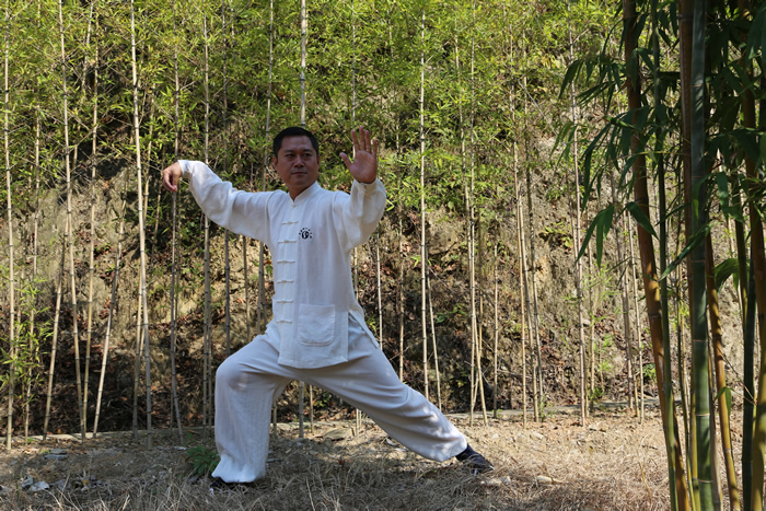 太极人生：我爱太极拳，今生永无悔！